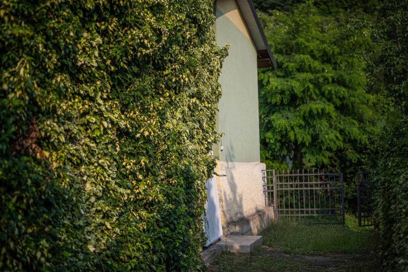 Vacation Home Rot אוהריד מראה חיצוני תמונה